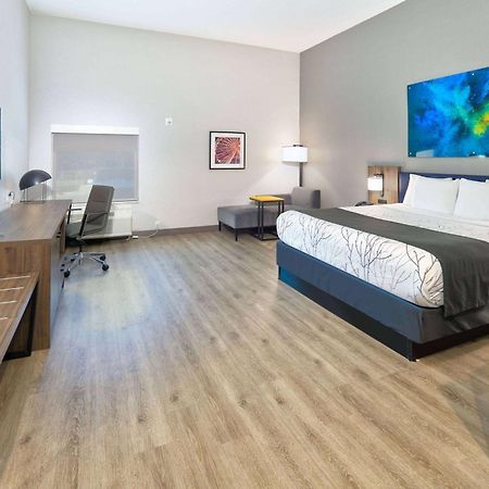La Quinta Inn & Suites By Wyndham Dallas/Fairpark Eksteriør bilde